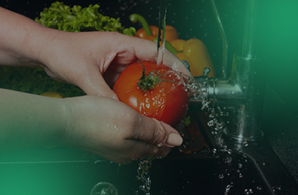 Basic Food Safety UAE